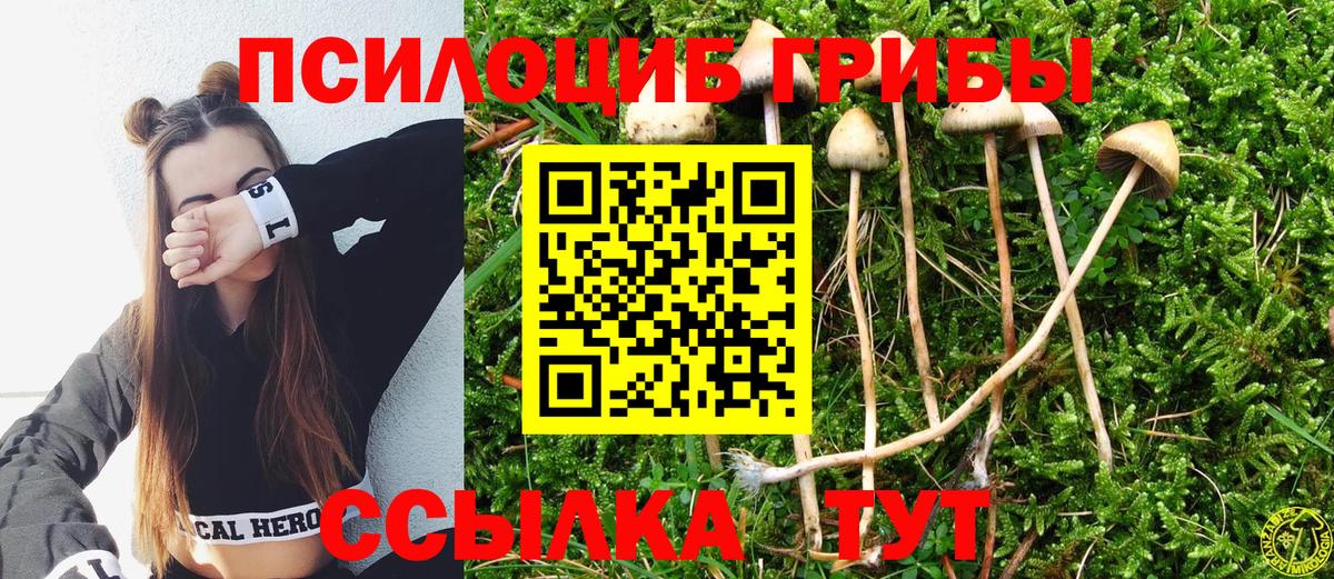 Павловский Посад  Псилоцибиновые грибы прущие грибы  Вход с VPN 