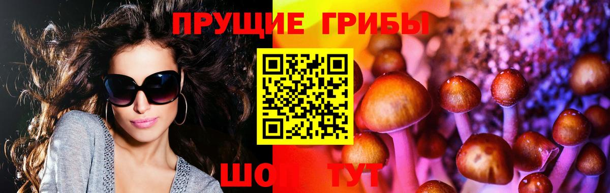 Галлюциногенные грибы мухоморы Павловский Посад